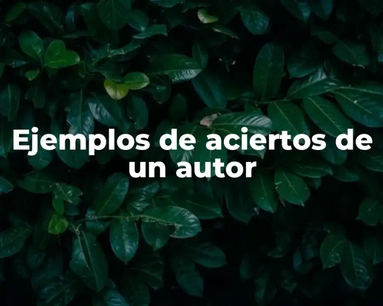 Ejemplos de aciertos de un autor