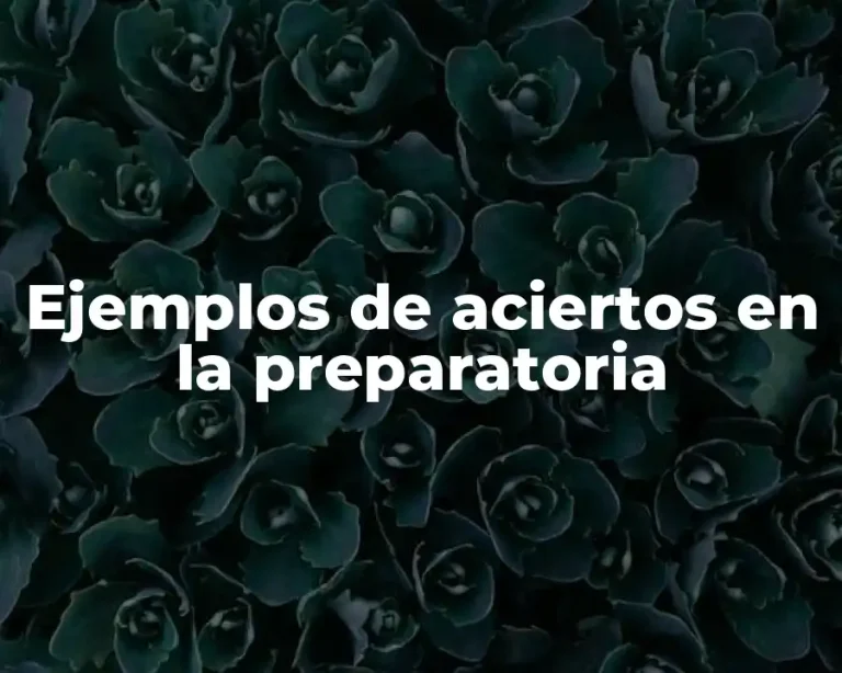 Ejemplos de aciertos en la preparatoria