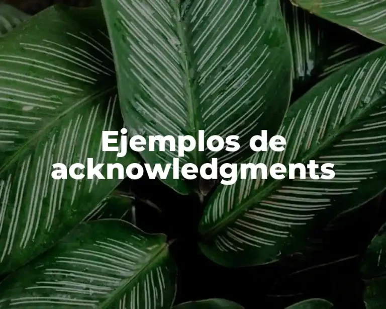 Ejemplos de acknowledgments
