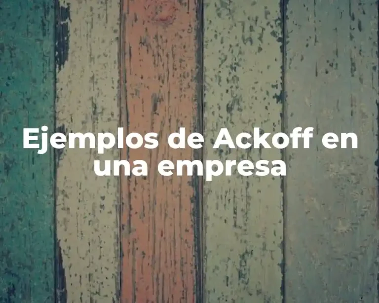 Ejemplos de Ackoff en una empresa