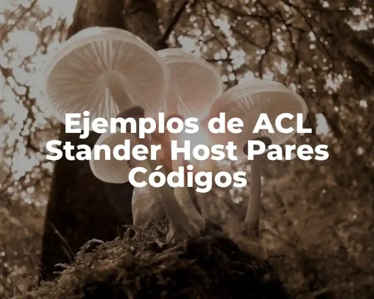 Ejemplos de ACL Stander Host Pares Códigos