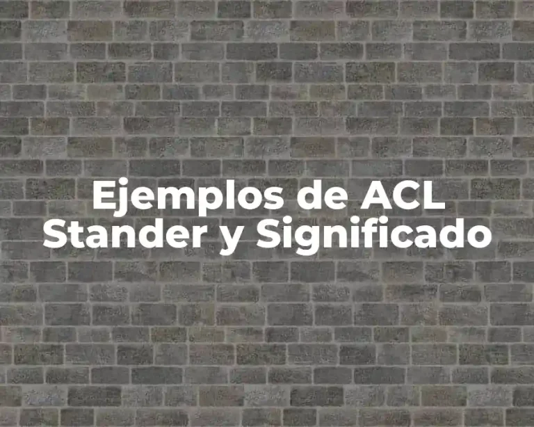 Ejemplos de ACL Stander y Significado