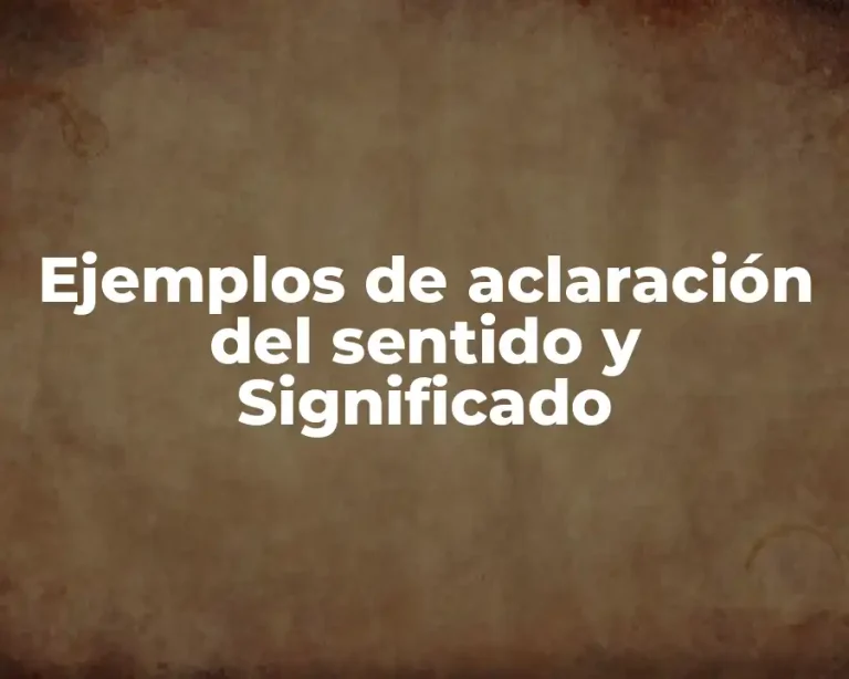 Ejemplos de aclaración del sentido y Significado