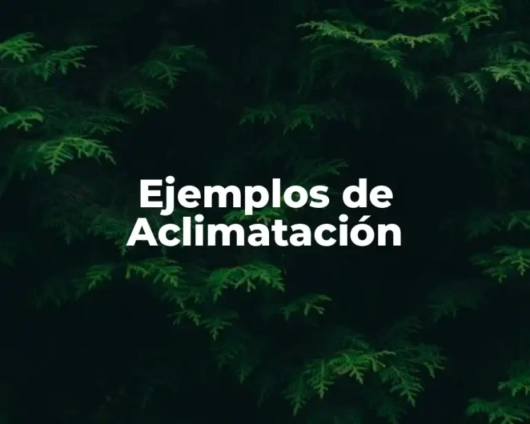 Ejemplos de Aclimatación