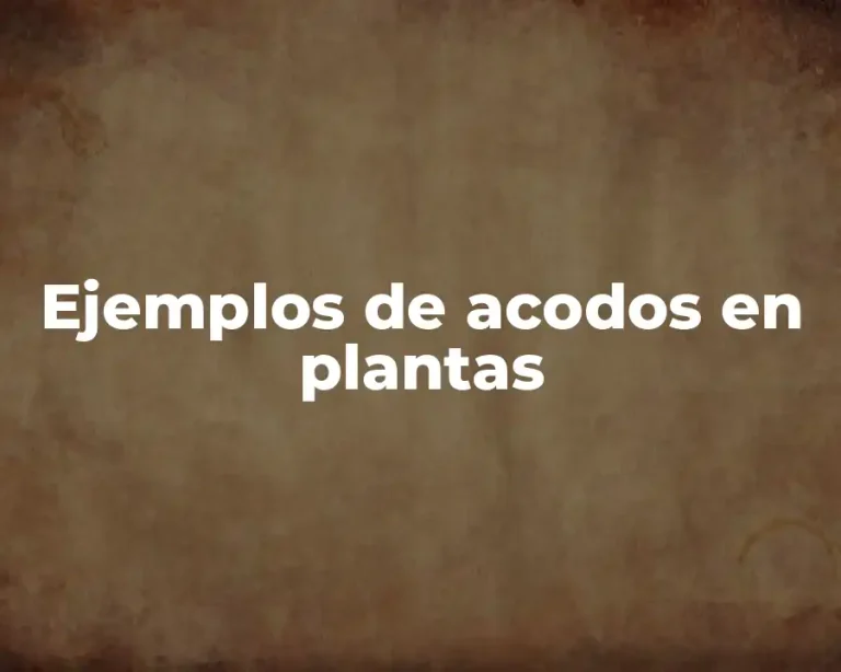 Ejemplos de acodos en plantas