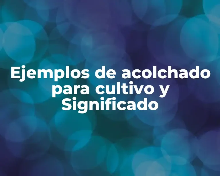 Ejemplos de acolchado para cultivo y Significado