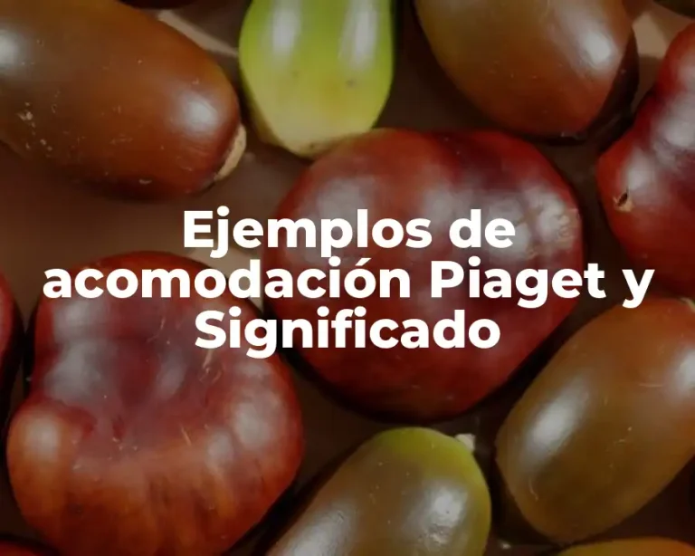 Ejemplos de acomodación Piaget y Significado