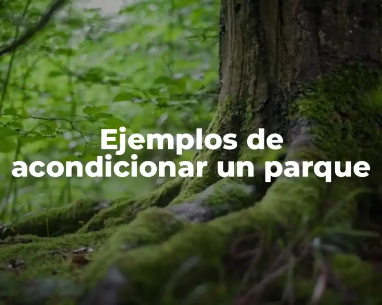 Ejemplos de acondicionar un parque