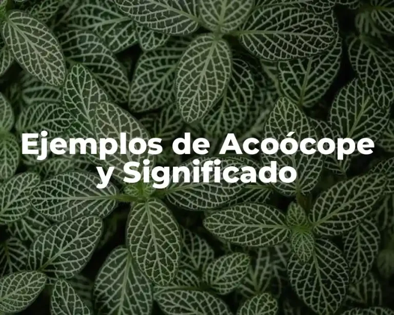 Ejemplos de Acoócope y Significado