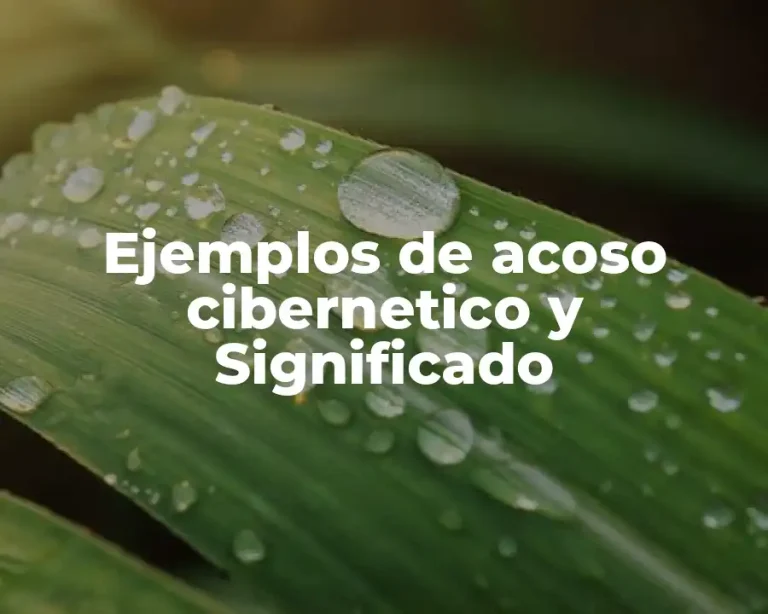 Ejemplos de acoso cibernetico y Significado