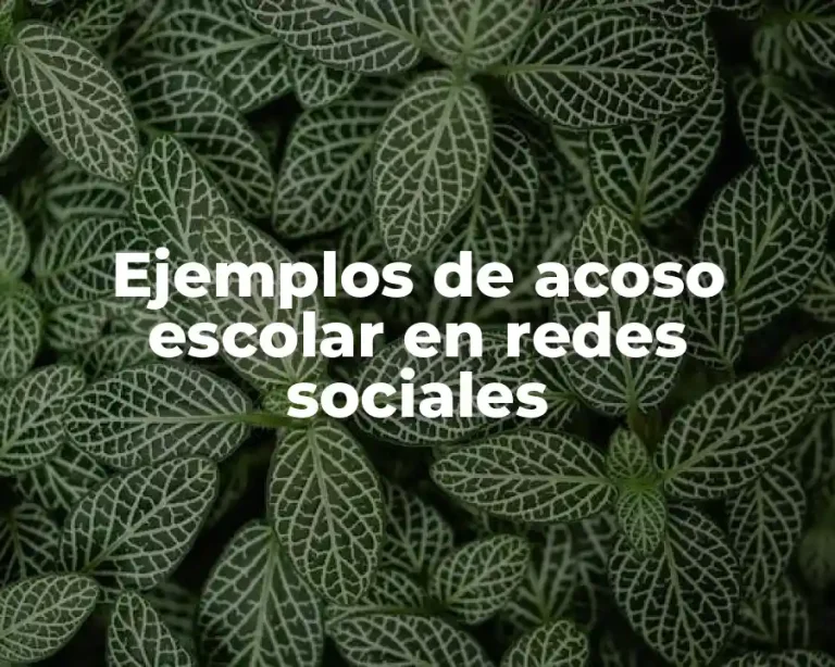 Ejemplos de acoso escolar en redes sociales