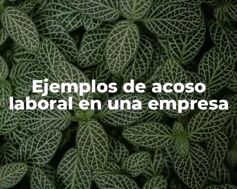 Ejemplos de acoso laboral en una empresa