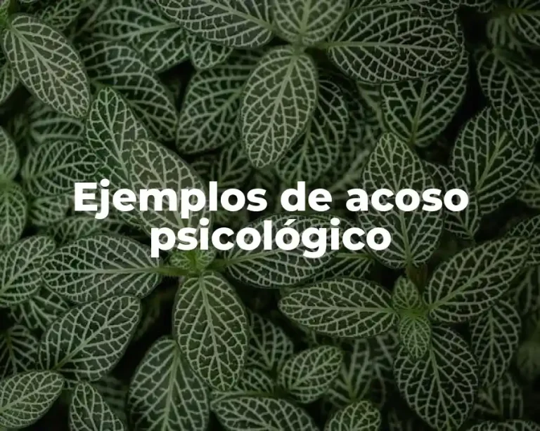 Ejemplos de acoso psicológico