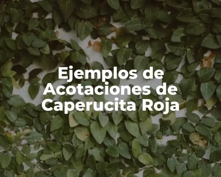 Ejemplos de Acotaciones de Caperucita Roja