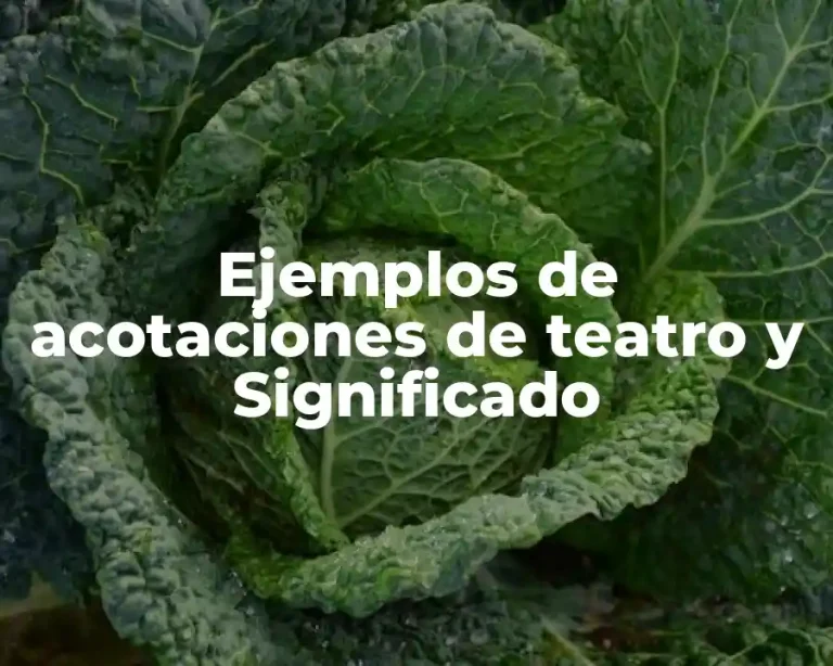 Ejemplos de acotaciones de teatro y Significado