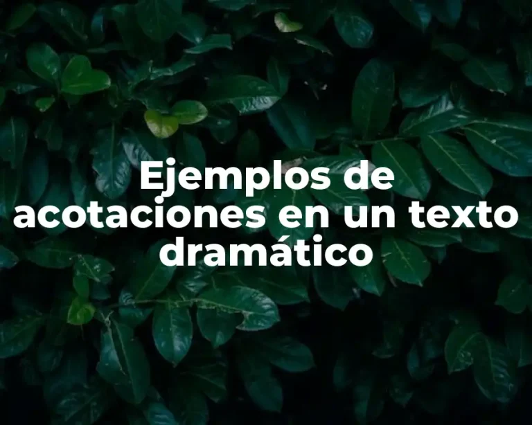 Ejemplos de acotaciones en un texto dramático