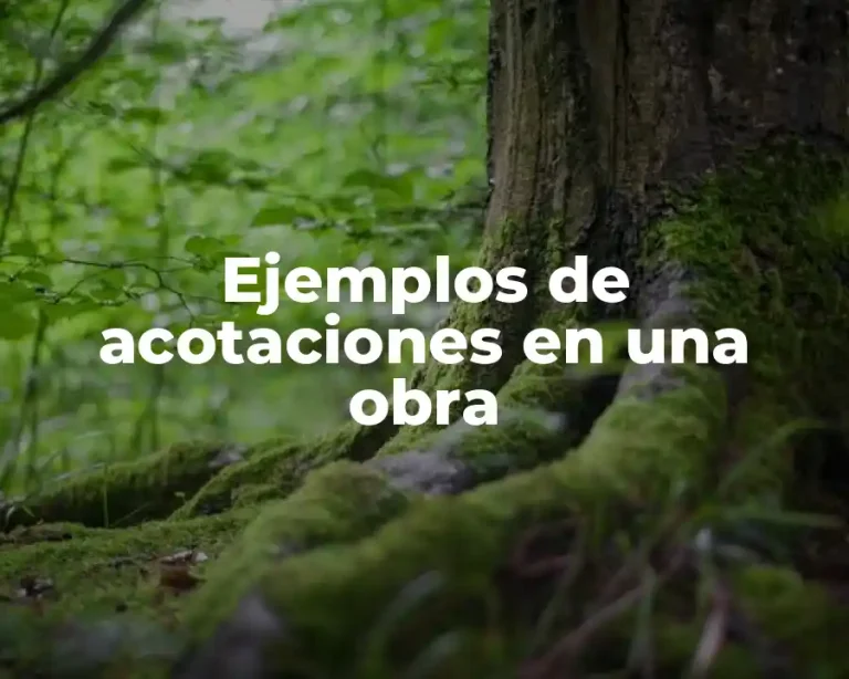 Ejemplos de acotaciones en una obra