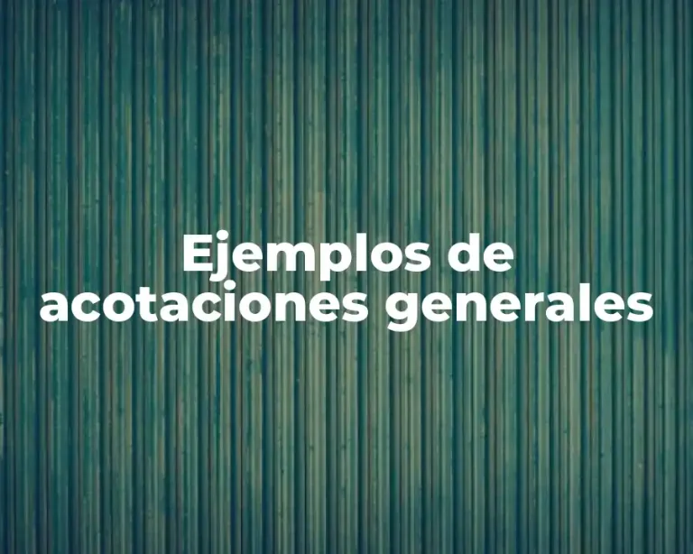 Ejemplos de acotaciones generales