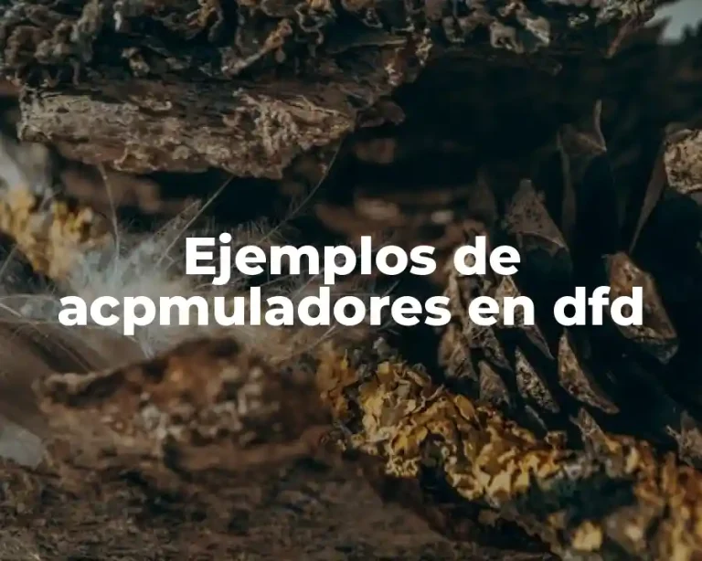 Ejemplos de acpmuladores en dfd