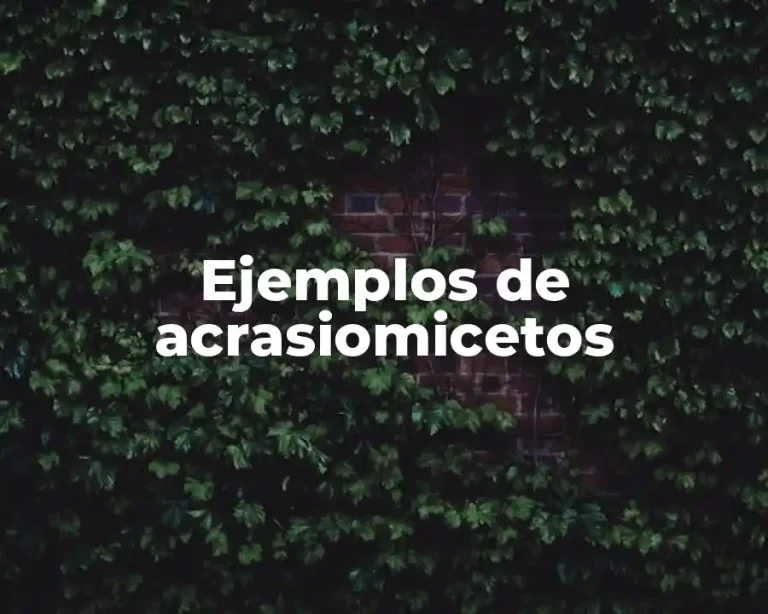 Ejemplos de acrasiomicetos