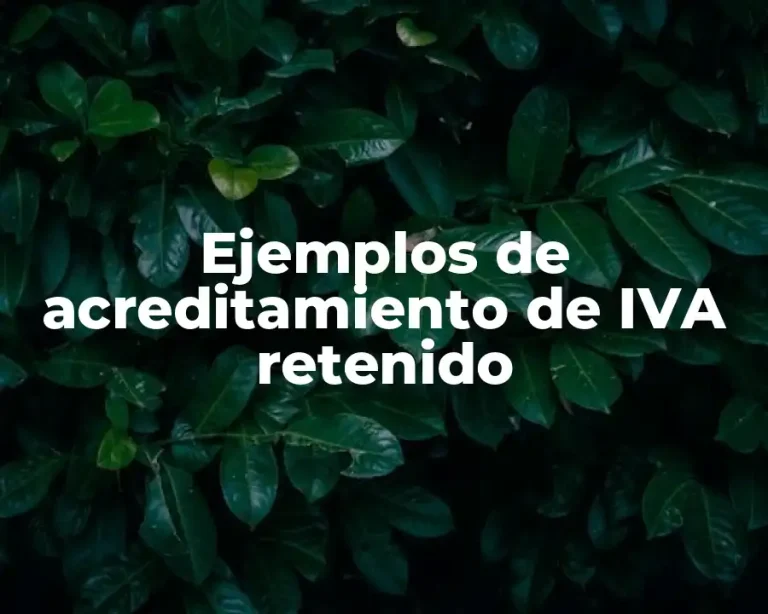 Ejemplos de acreditamiento de IVA retenido