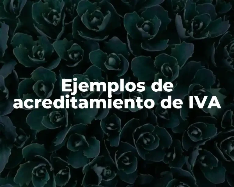 Ejemplos de acreditamiento de IVA
