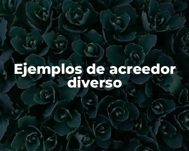 Ejemplos de acreedor diverso