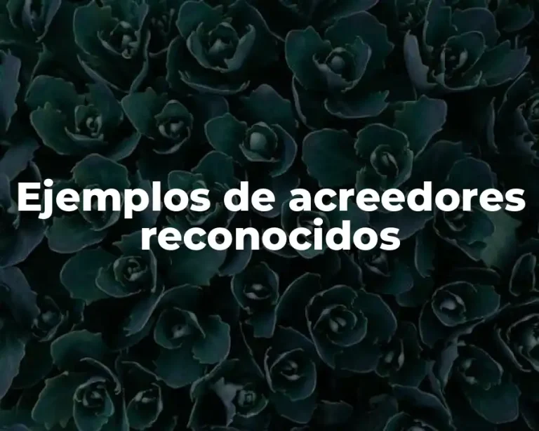 Ejemplos de acreedores reconocidos