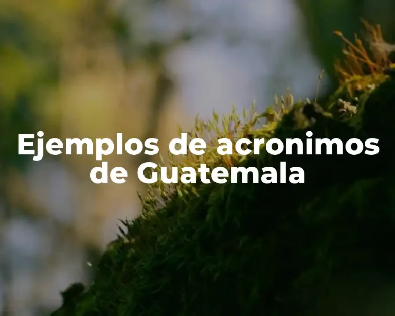 Ejemplos de acronimos de Guatemala