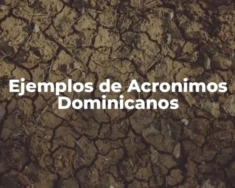 Ejemplos de Acronimos Dominicanos