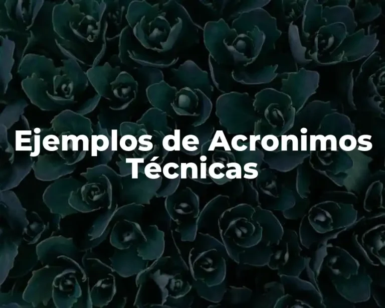 Ejemplos de Acronimos Técnicas