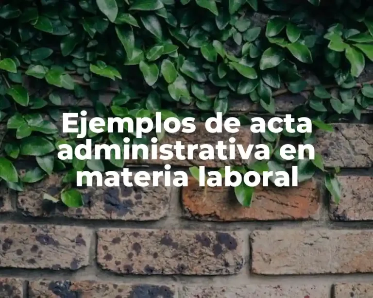 Ejemplos de acta administrativa en materia laboral