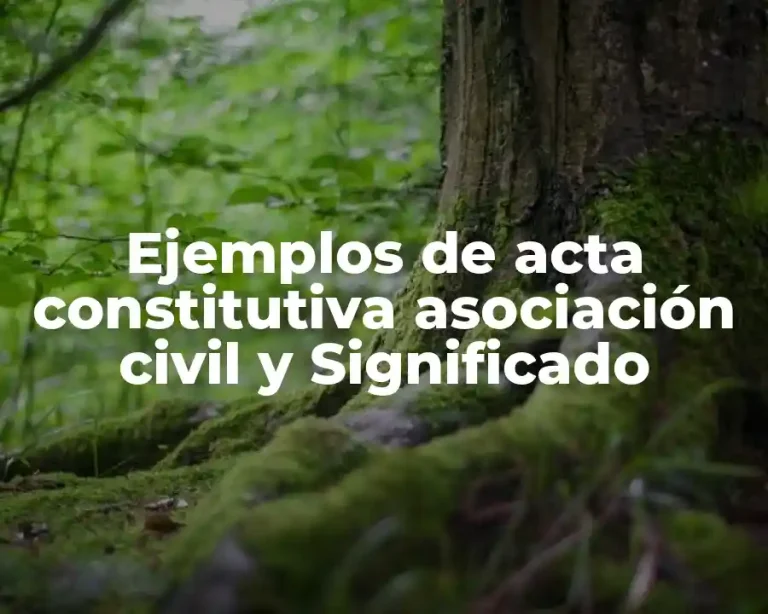 Ejemplos de acta constitutiva asociación civil y Significado