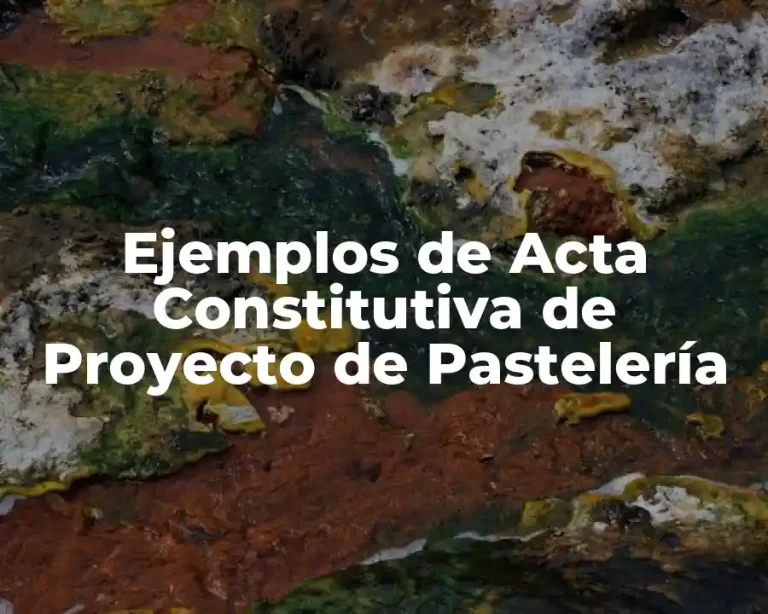 Ejemplos de Acta Constitutiva de Proyecto de Pastelería