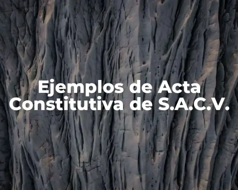 Ejemplos de Acta Constitutiva de S.A.C.V.