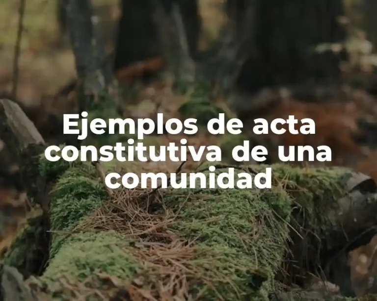 Ejemplos de acta constitutiva de una comunidad