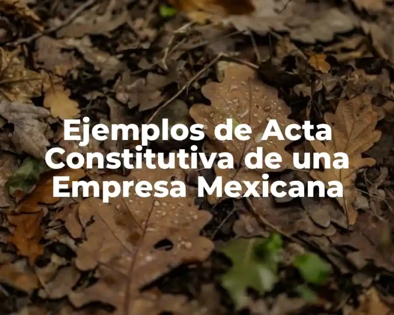 Ejemplos de Acta Constitutiva de una Empresa Mexicana