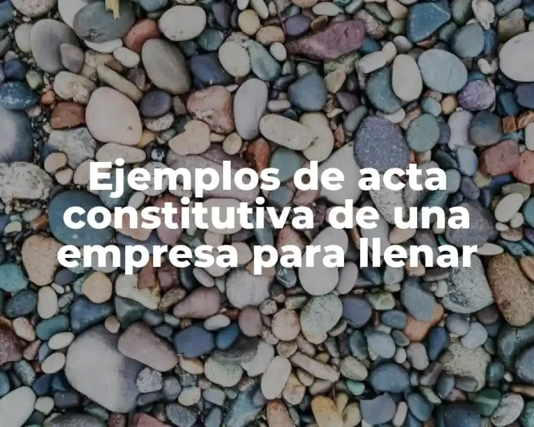 Ejemplos de acta constitutiva de una empresa para llenar