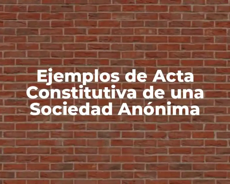 Ejemplos de Acta Constitutiva de una Sociedad Anónima