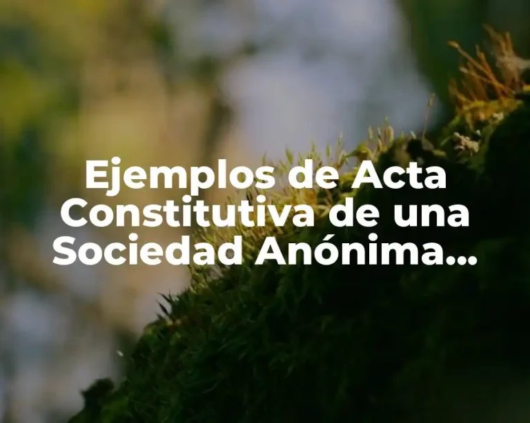 Ejemplos de Acta Constitutiva de una Sociedad Anónima Bursátil y Significado