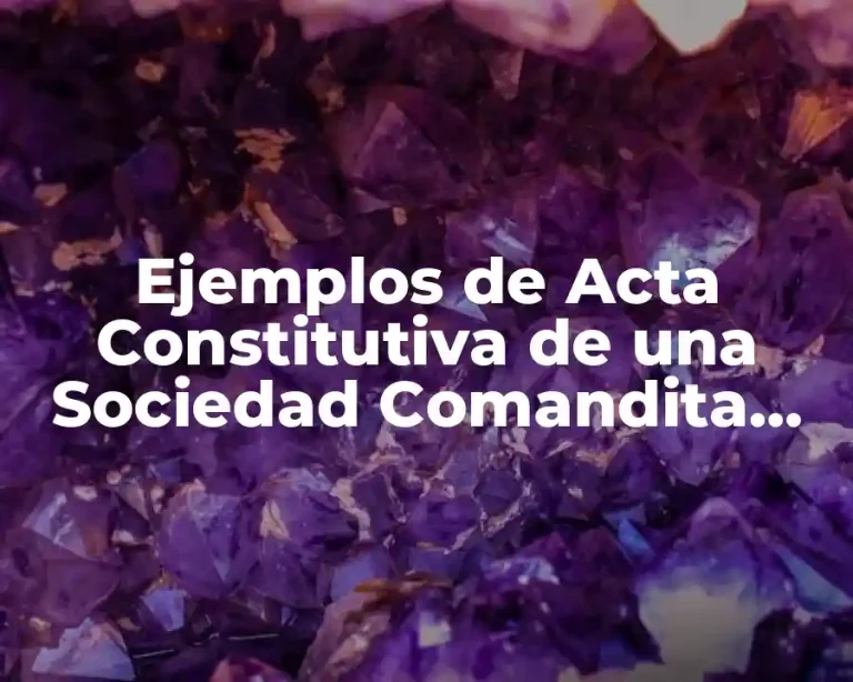 Ejemplos de Acta Constitutiva de una Sociedad Comandita Simple