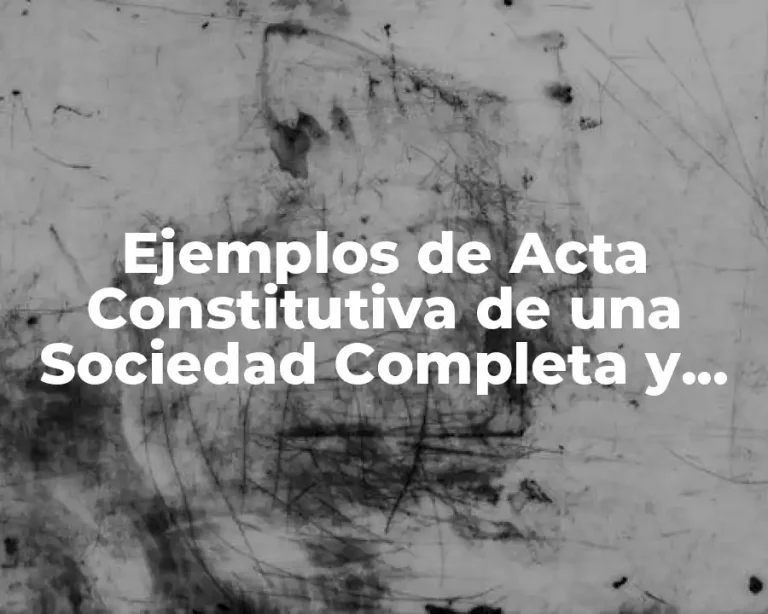 Ejemplos de Acta Constitutiva de una Sociedad Completa y Significado