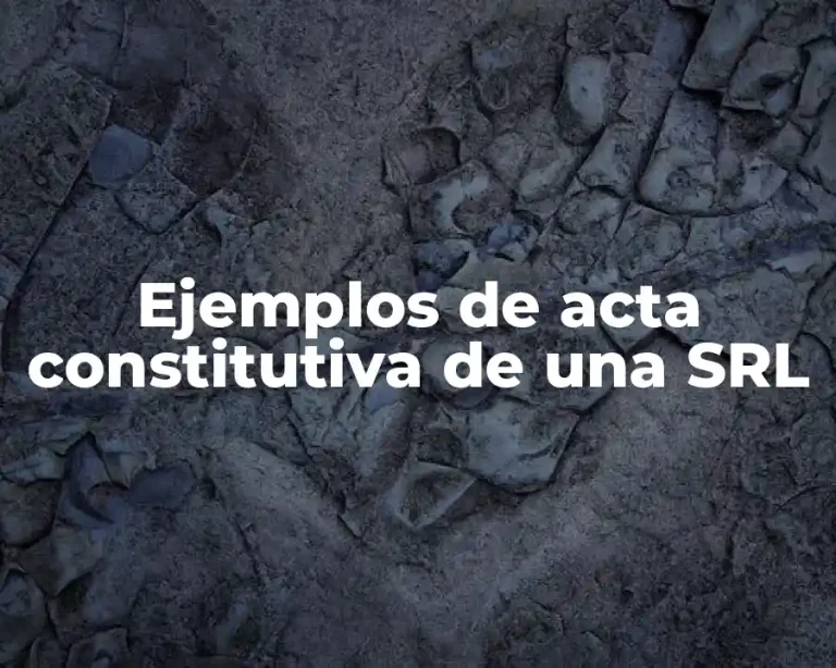 Ejemplos de acta constitutiva de una SRL