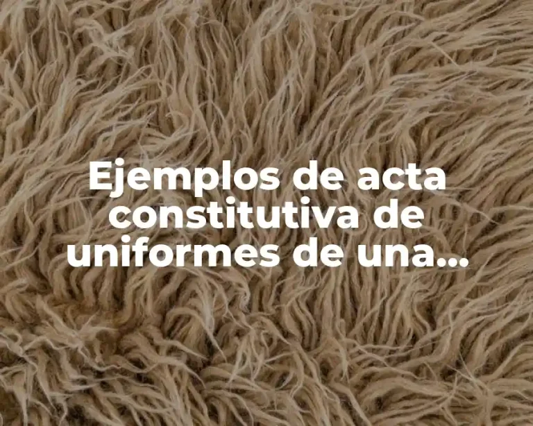 Ejemplos de acta constitutiva de uniformes de una empresa