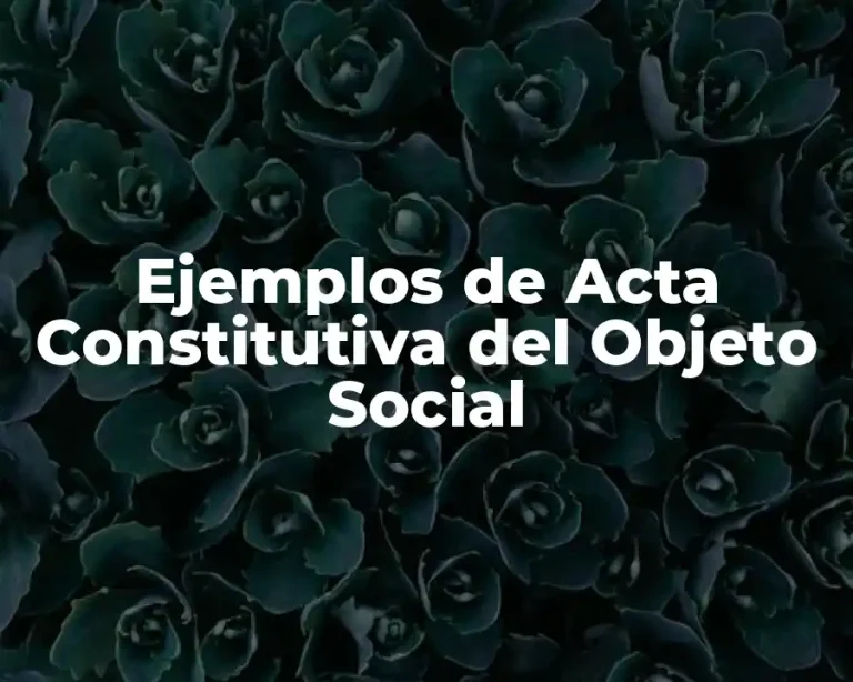 Ejemplos de Acta Constitutiva del Objeto Social
