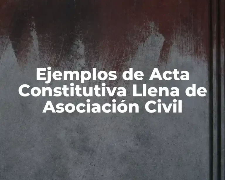Ejemplos de Acta Constitutiva Llena de Asociación Civil