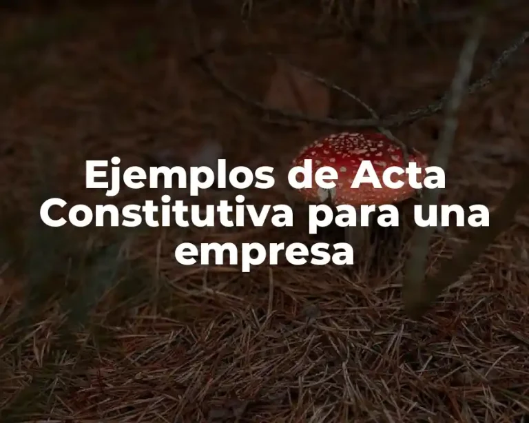 Ejemplos de Acta Constitutiva para una empresa