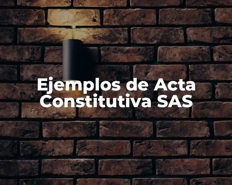 Ejemplos de Acta Constitutiva SAS