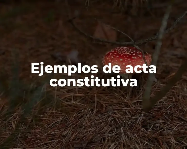 Ejemplos de acta constitutiva