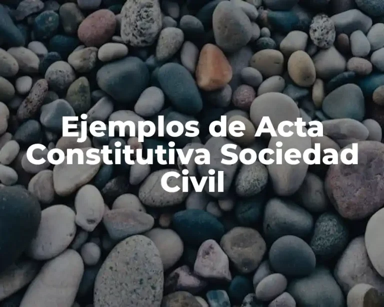 Ejemplos de Acta Constitutiva Sociedad Civil